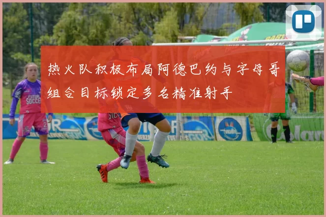热火队积极布局阿德巴约与字母哥组合目标锁定多名精准射手