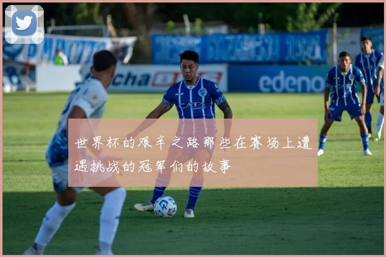 世界杯的艰辛之路那些在赛场上遭遇挑战的冠军们的故事