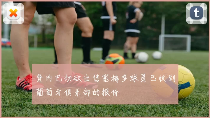 费内巴切欲出售塞梅多球员已收到葡萄牙俱乐部的报价